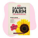 Pack de sementes de girassol (Helianthus annuus) Buddy