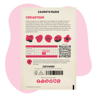 Cerastium (Cerastium biebersteinii) Pack Amigo