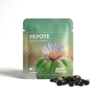 Peyote (Lophophora williamsii) - 20 sementes
