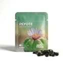 Peyote (Lophophora williamsii) - 20 sementes