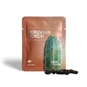 Tocha Peruana (Echinopsis peruviana) &ndash; 20 sementes