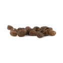 Tabaco (Nicotiana tabacum) – 20 sementes