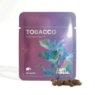 Tabaco (Nicotiana tabacum) &ndash; 20 sementes