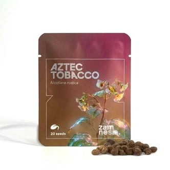 Tabaco Asteca (Nicotiana rustica) 20 sementes