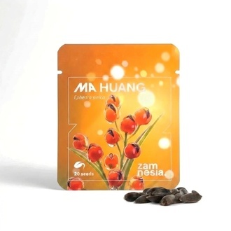 Ma Huang Seeds (Ephedra sinica) 20 Sementes