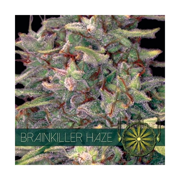 Brainkiller Haze (Vision Seeds) feminizada