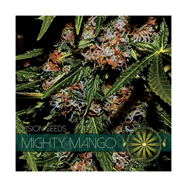 Mighty Mango Bud (Vision Seeds) feminizada