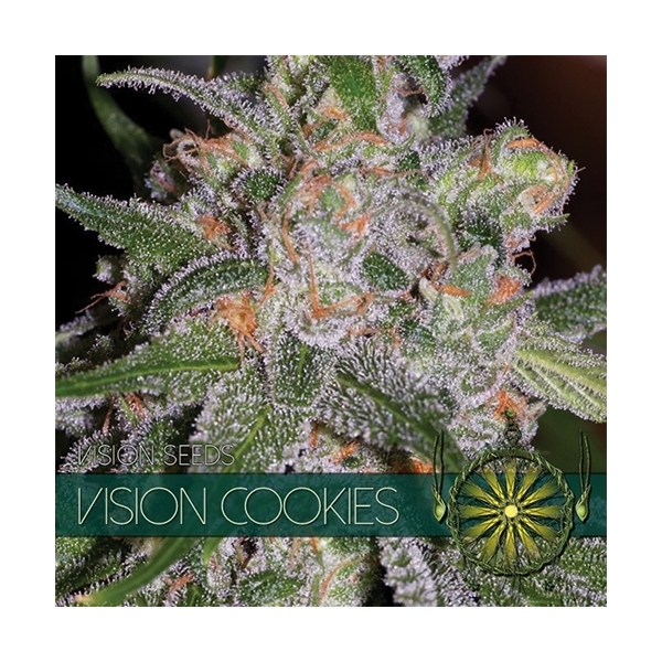 Vision Cookies (Vision Seeds) feminizada