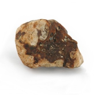 Valhalla Magic Truffles