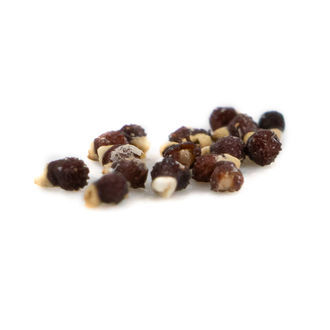 Aztekium ritteri (Cacto Asteca) – 20 sementes