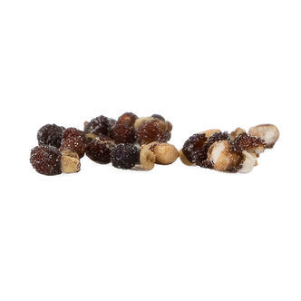Aztekium ritteri (Cacto Asteca) – 20 sementes