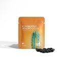 Echinopsis macrogona (Trichocereus macrogonus) – 20 sementes