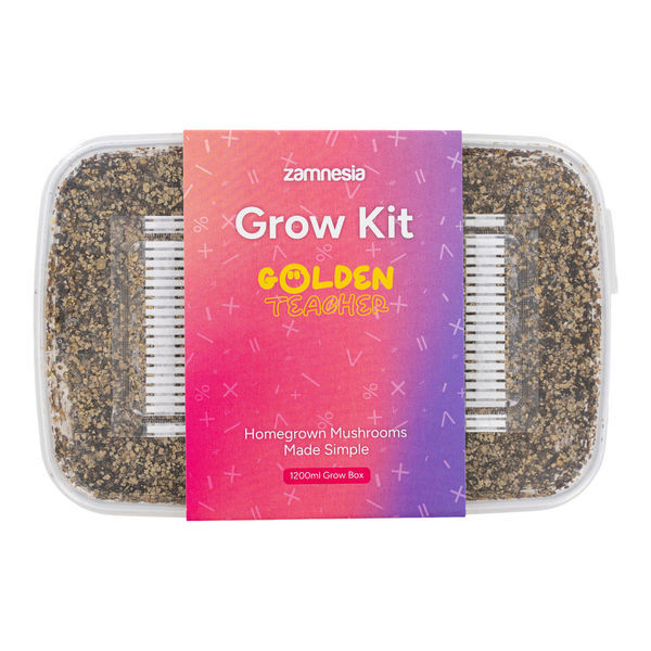 Kit de cultivo Zamnesia 'Golden Teacher'