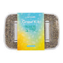 Kit de cultivo Zamnesia 'Treasure Coast'