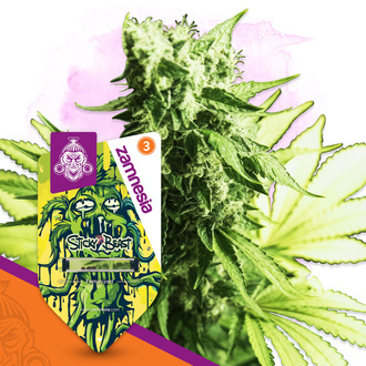 Sticky Beast (Zamnesia Seeds) feminizada