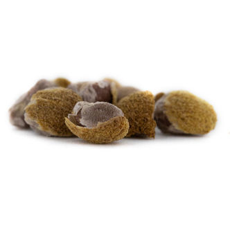 Sementes de Hawaiian Baby Woodrose Madagascar (Argyreia nervosa) — 10 unidades