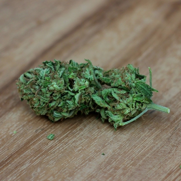 Sweet Harlem Diesel (Sumo Seeds) feminizada