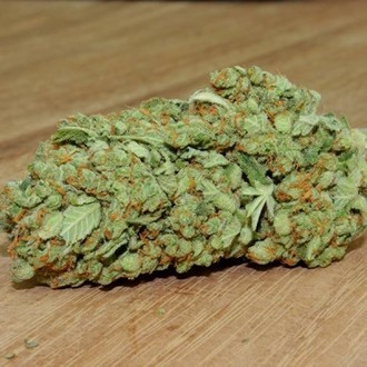 Thunderstruck (Sumo Seeds) feminizada