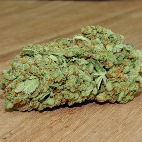 Thunderstruck (Sumo Seeds) feminizada