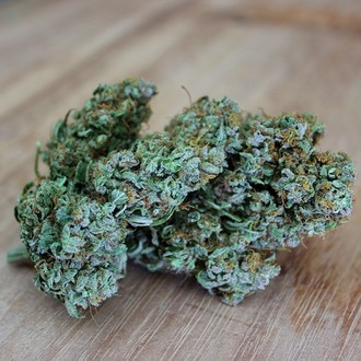 Sumo's OG Kush (Sumo Seeds) feminizada