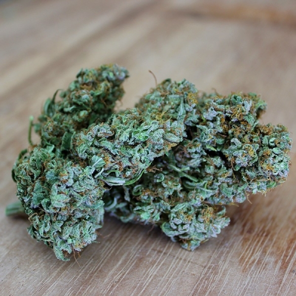 Sumo's OG Kush (Sumo Seeds) feminizada