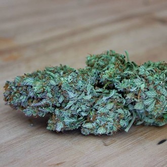 CBD Kong's Kush (Sumo Seeds) feminizada