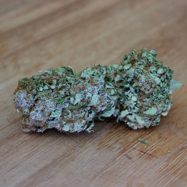 White Widow Original (Sumo Seeds) feminizada