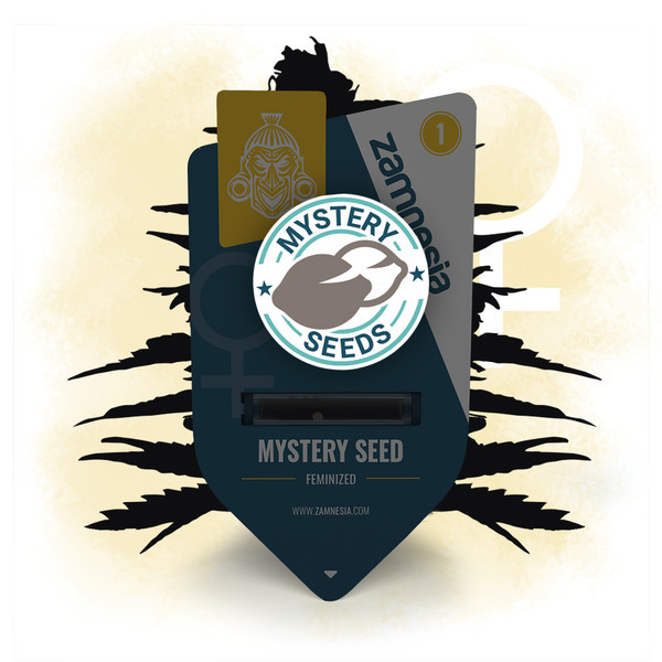 Zamnesia Mystery Seed (Feminizado)