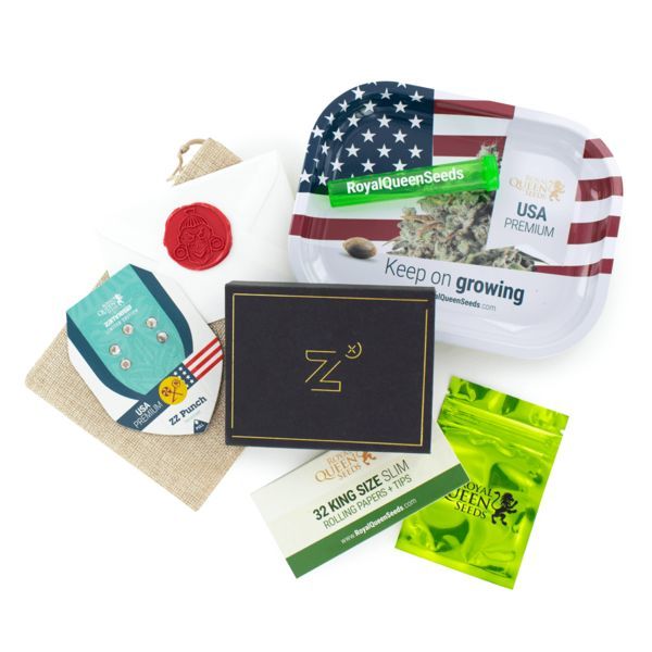 ZZ Punch (Royal Queen Seeds x Zamnesia) feminizada