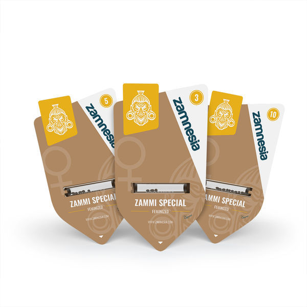 Zammi Special (Zamnesia Seeds) feminizada