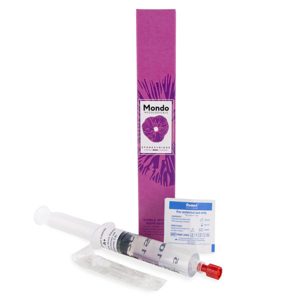 Seringa Mondo de esporos Psilocybe Cubensis A+