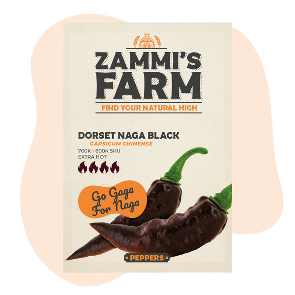 Dorset Naga black seeds