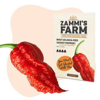 Sementes de Bhut Jolokia (Pimenta Fantasma)