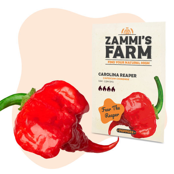 Sementes de Carolina Reaper