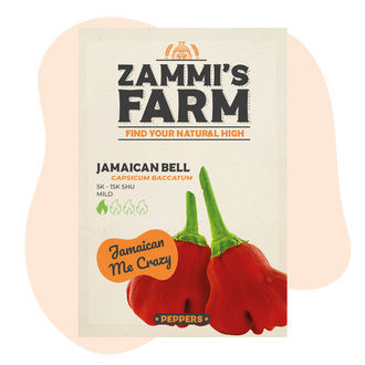 Sementes de Jamaican Bell Cambuci