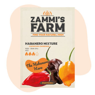 Sementes de mistura de habanero