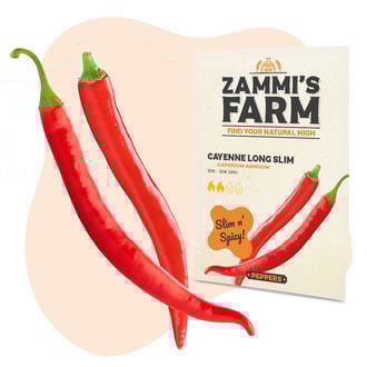 Sementes Cayenne Long Slim