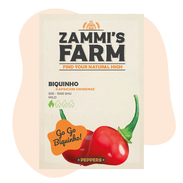 Sementes de Biquinho