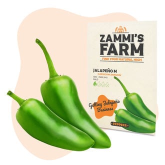 Sementes de Jalapeño M