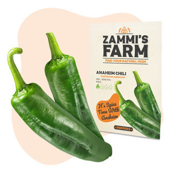 Sementes de Anaheim Chili