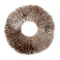 Esporo de Psilocybe cubensis Ban Hua Thai