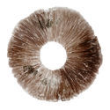 Esporo de Psilocybe cubensis Hawaii (PES)