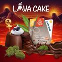 Lava Cake Autoflorescente (Sementes Zamnesia) Feminizada