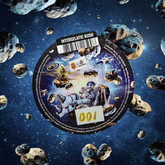 Intergalactic Kush (Kannabia x Zamnesia) feminizada