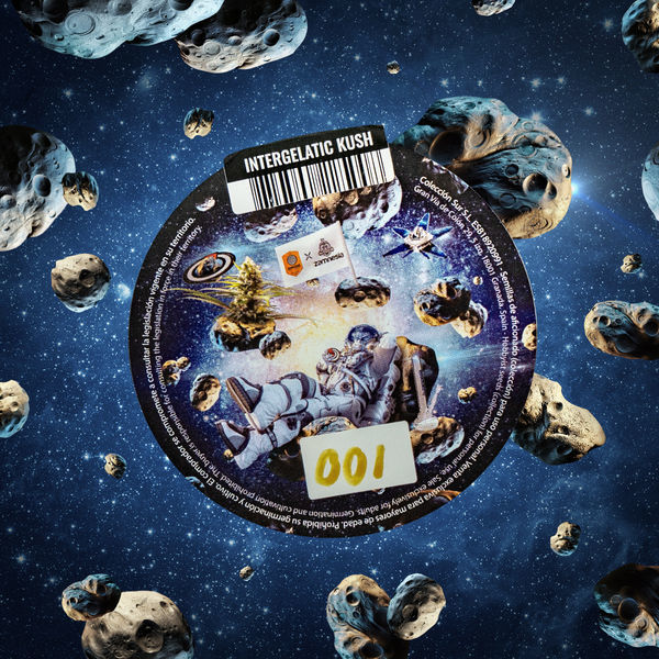 Intergalactic Kush (Kannabia x Zamnesia) feminizada