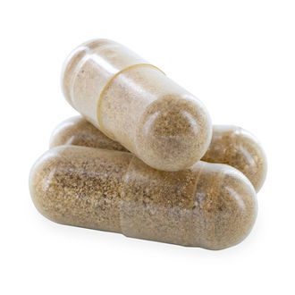 Extrato de Ginkgo Biloba