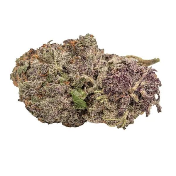 Ultra Violet GMO (Growers Choice) feminizada