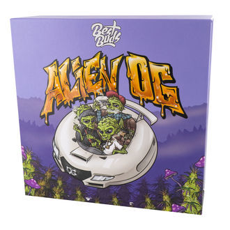 Cinzeiro de cristal (Best Buds)