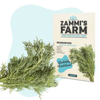 Sementes de absinto (Artemisia absinthium)