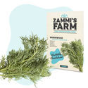 Sementes de absinto (Artemisia absinthium)